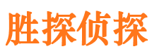 华龙市侦探公司